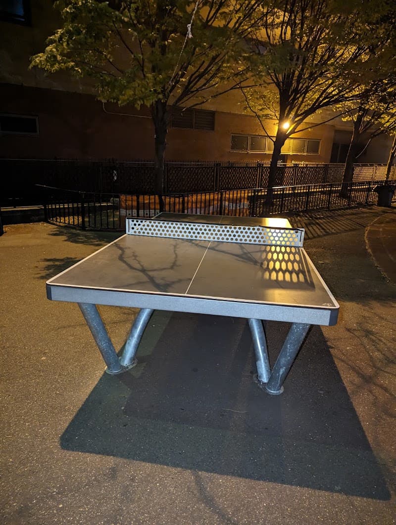 Table Tennis Table
