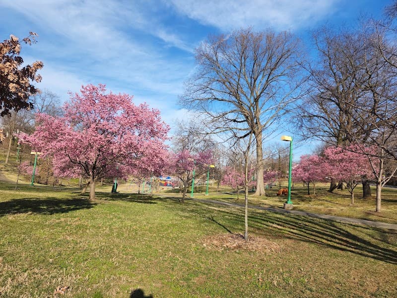 Chuck Brown Memorial Park