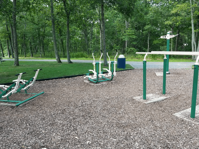 Gille Park