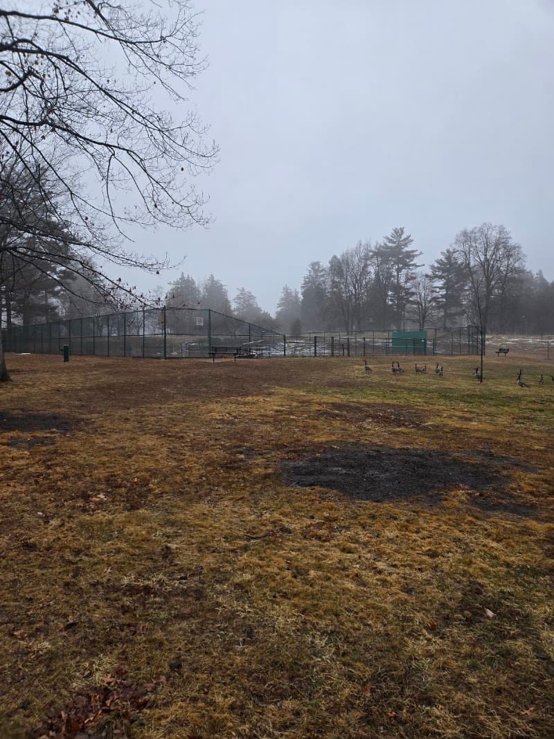 Elizabeth Park Tennis Court