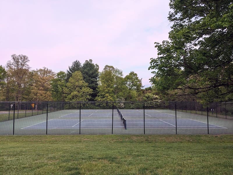 Martin Luther King Park Tennis courts