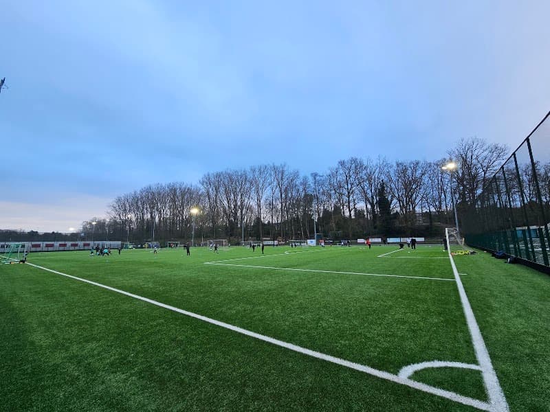 Fallon Stadion