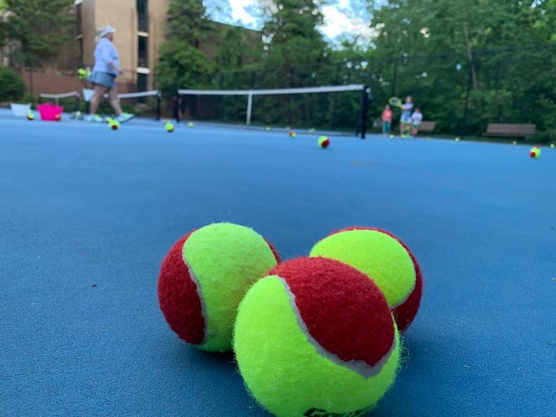 North Shore Tennis Courts (Reston Association)