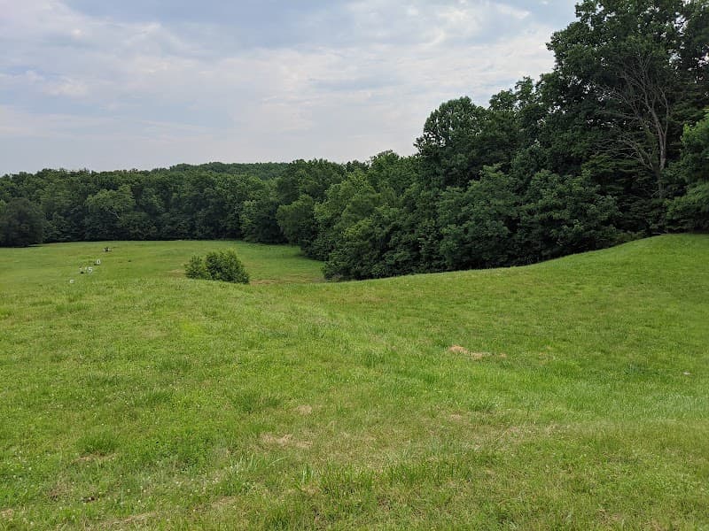 Lake Arbor Foundation, Inc.