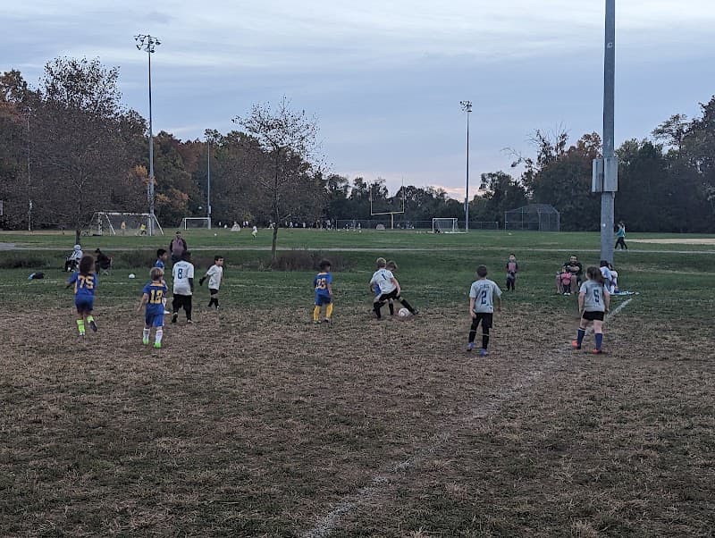 David C. Driskell Community Park