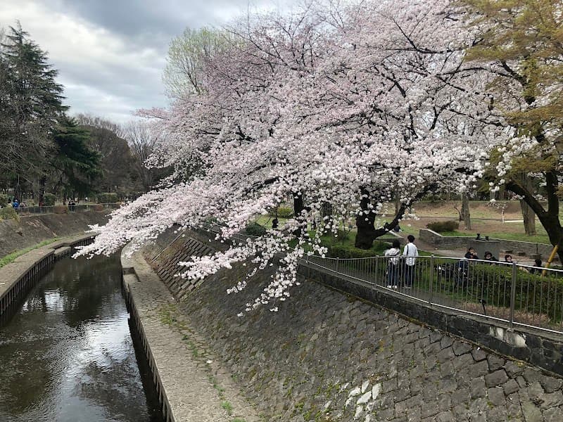 Wadabori Park