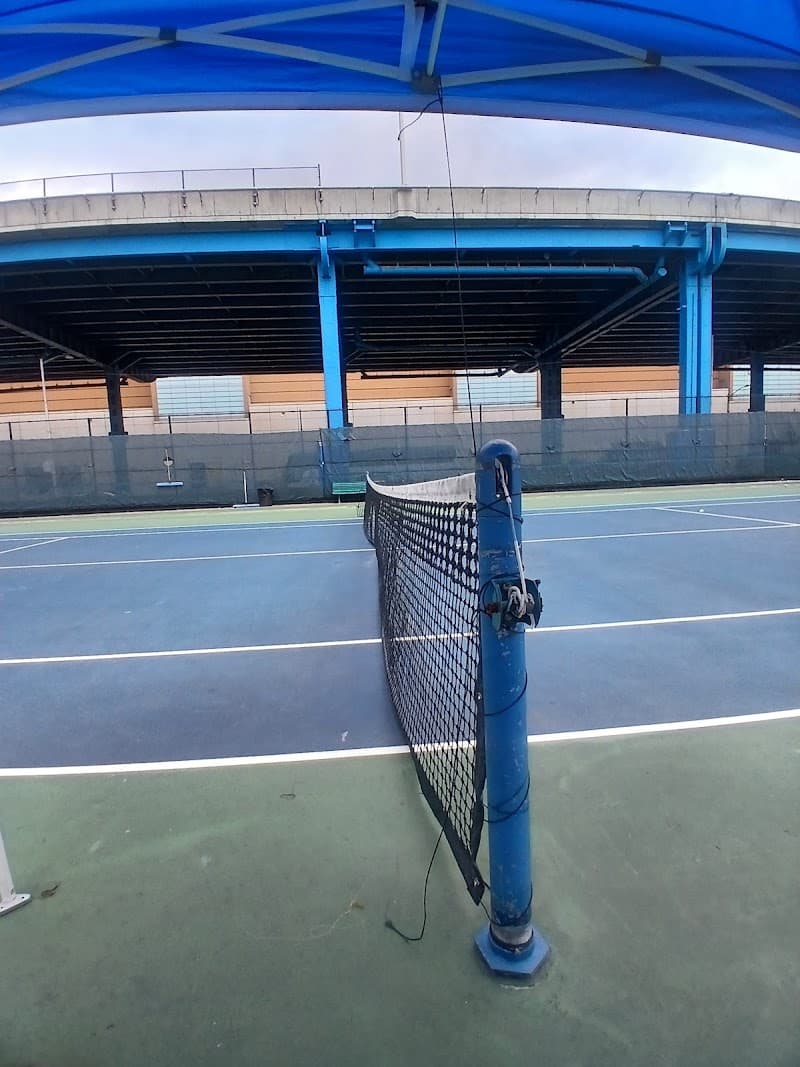 Mill Pond Park Tennis Courts