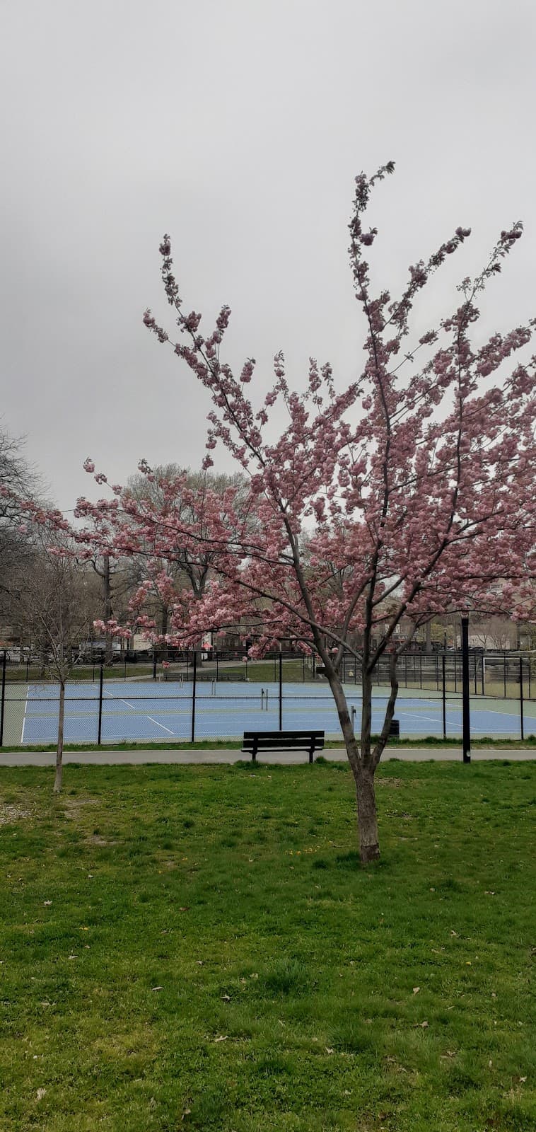St. James Park Tennis Courts