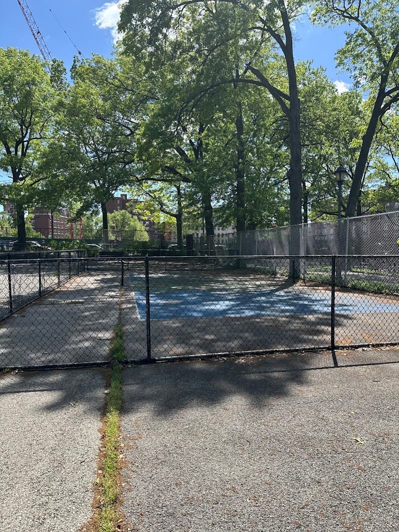Pickleball Court