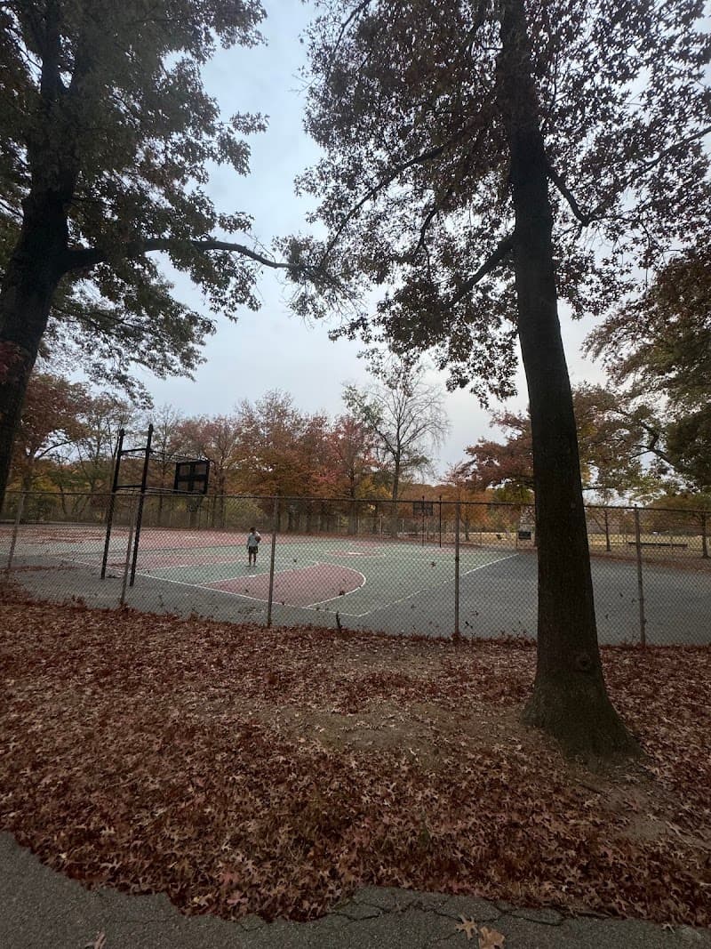 Clove Lake Basketball